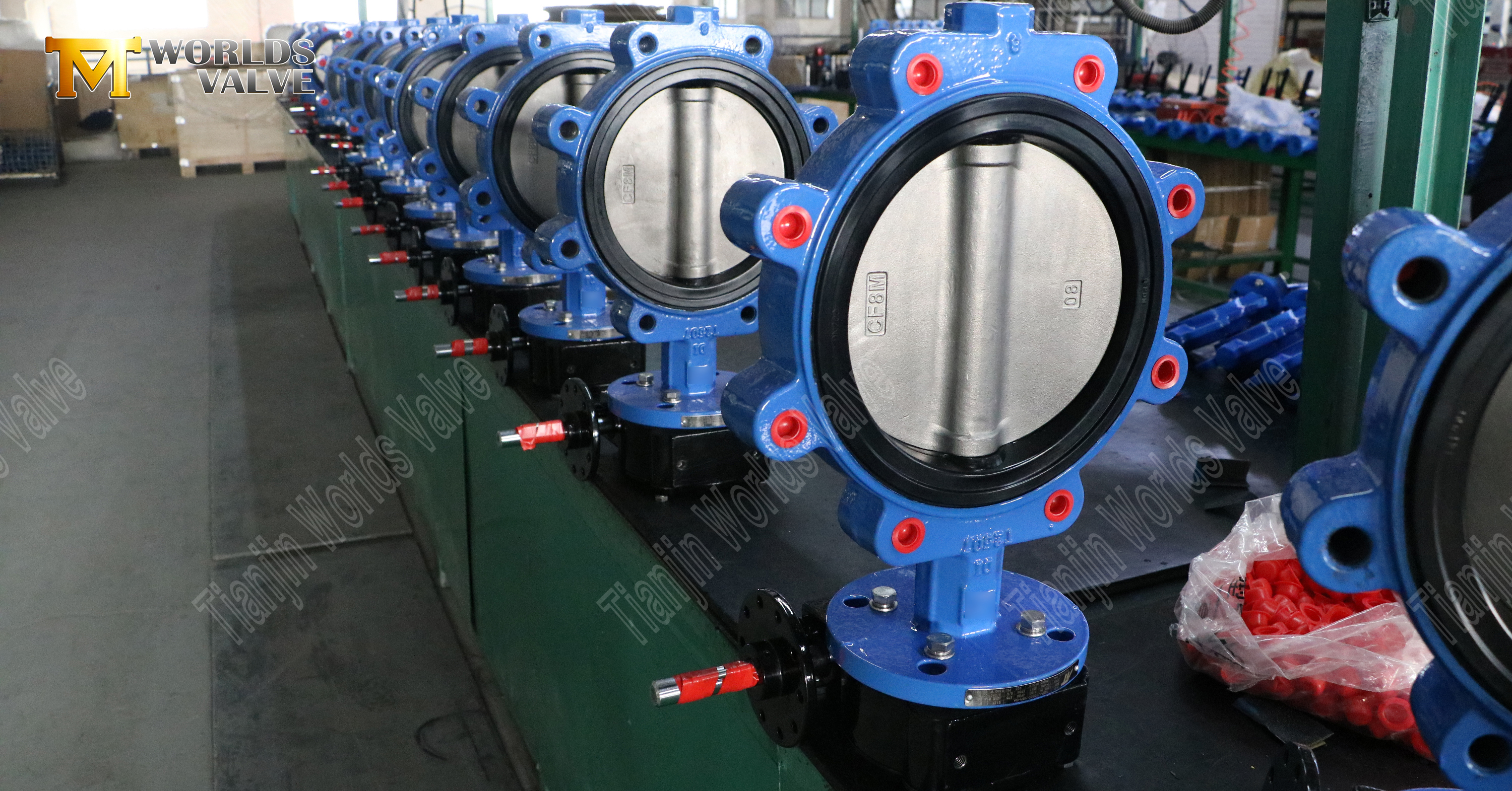 Absperrklappe vom Ansatztyp mit weichem Gummisitz und SS-Scheibe (1)