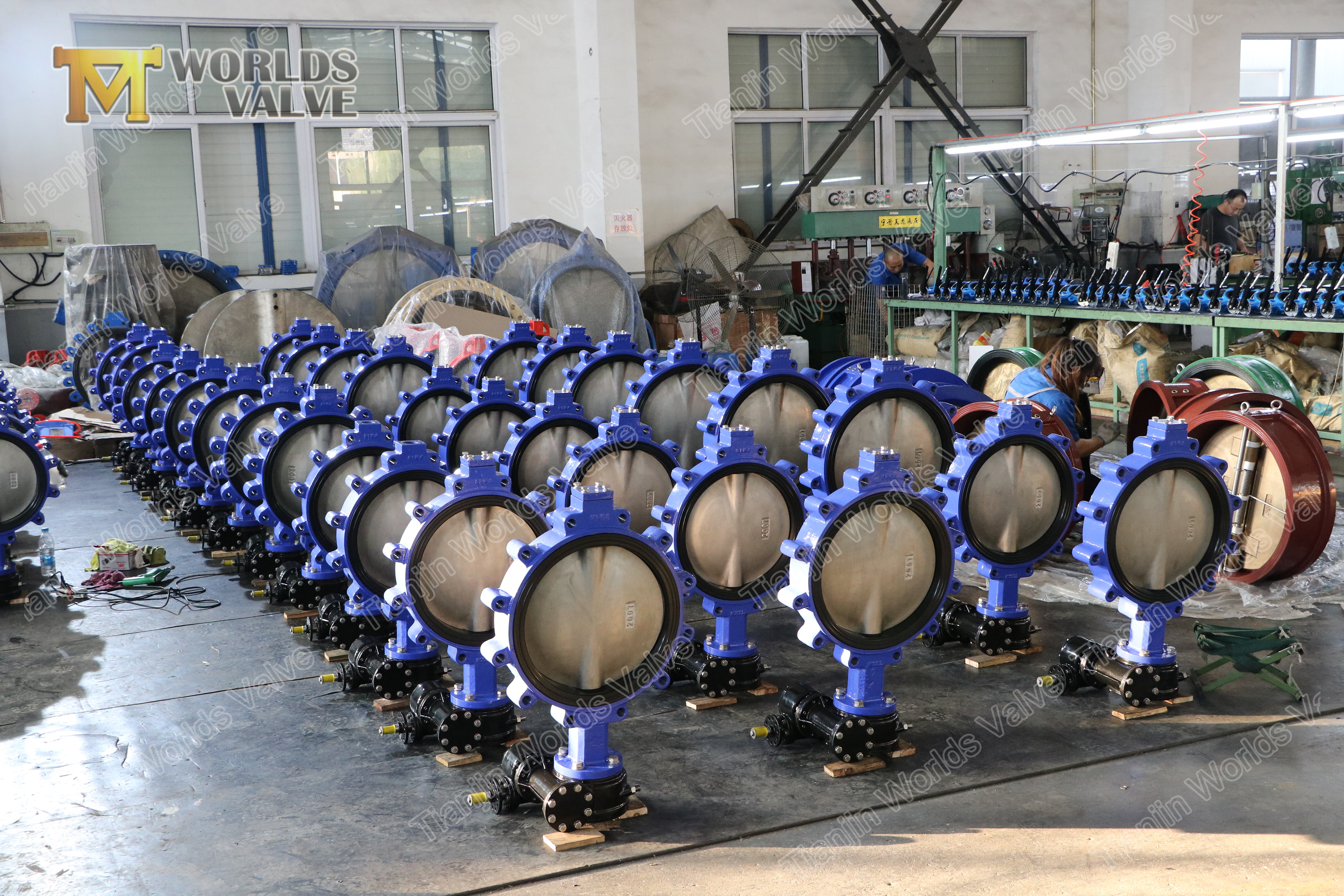 4 A536 A395 Duktiles Eisen-Schmetterlingsventil,