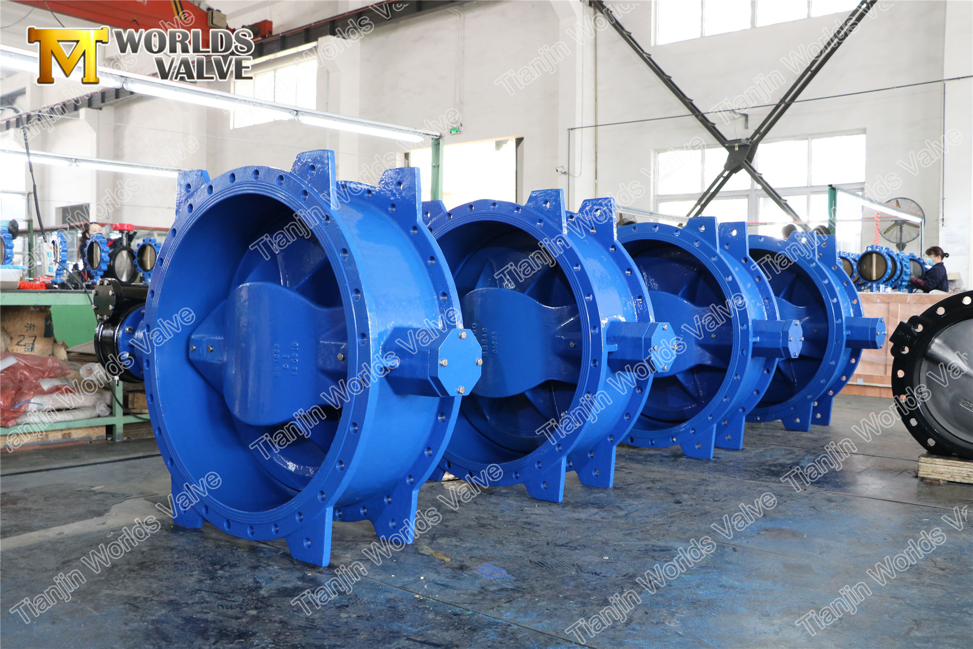 2 Exzentrische Doppelflansch-Schmetterlingsventil mit SS316 SS304 Sitz