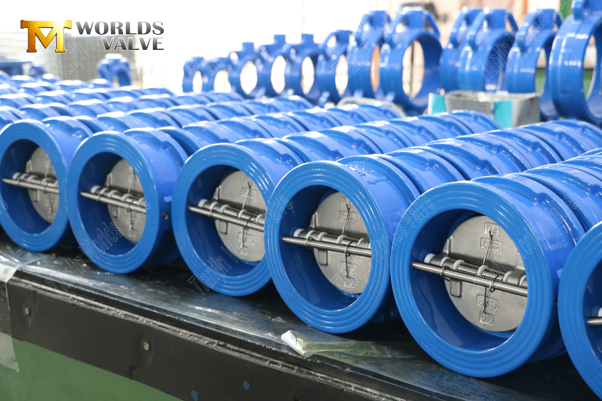 Doppelplattenpr&uuml;fventil PN16 mit EPDM -Sitz und SS -Scheibe