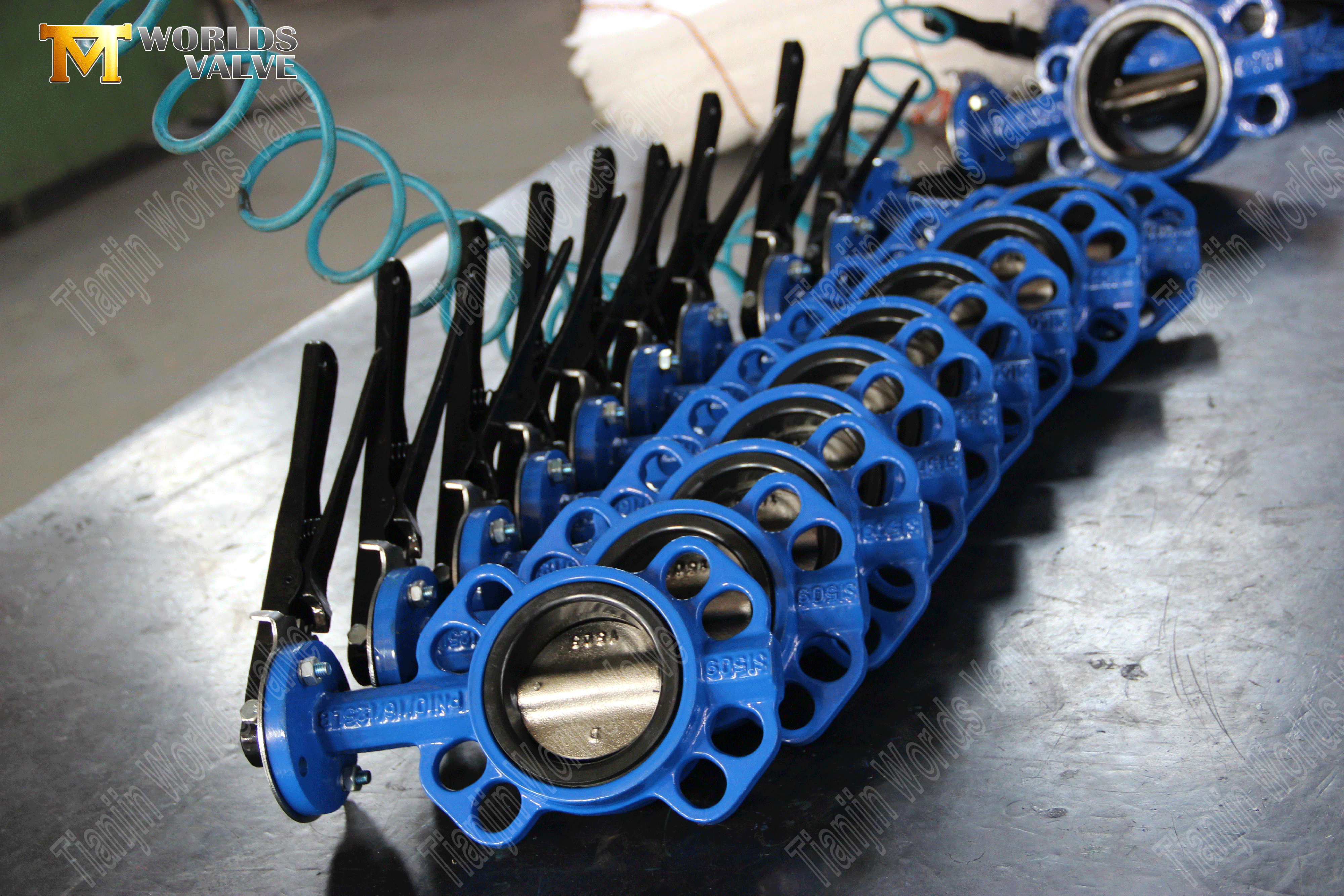 Schmetterlingsventile vom Typ Wurmgetriebe mit Gummi ausgekleidet (10)