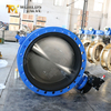 Awwa C504 Gummi -Sitzen -Schmetterlingsventile mit DI -Scheibe