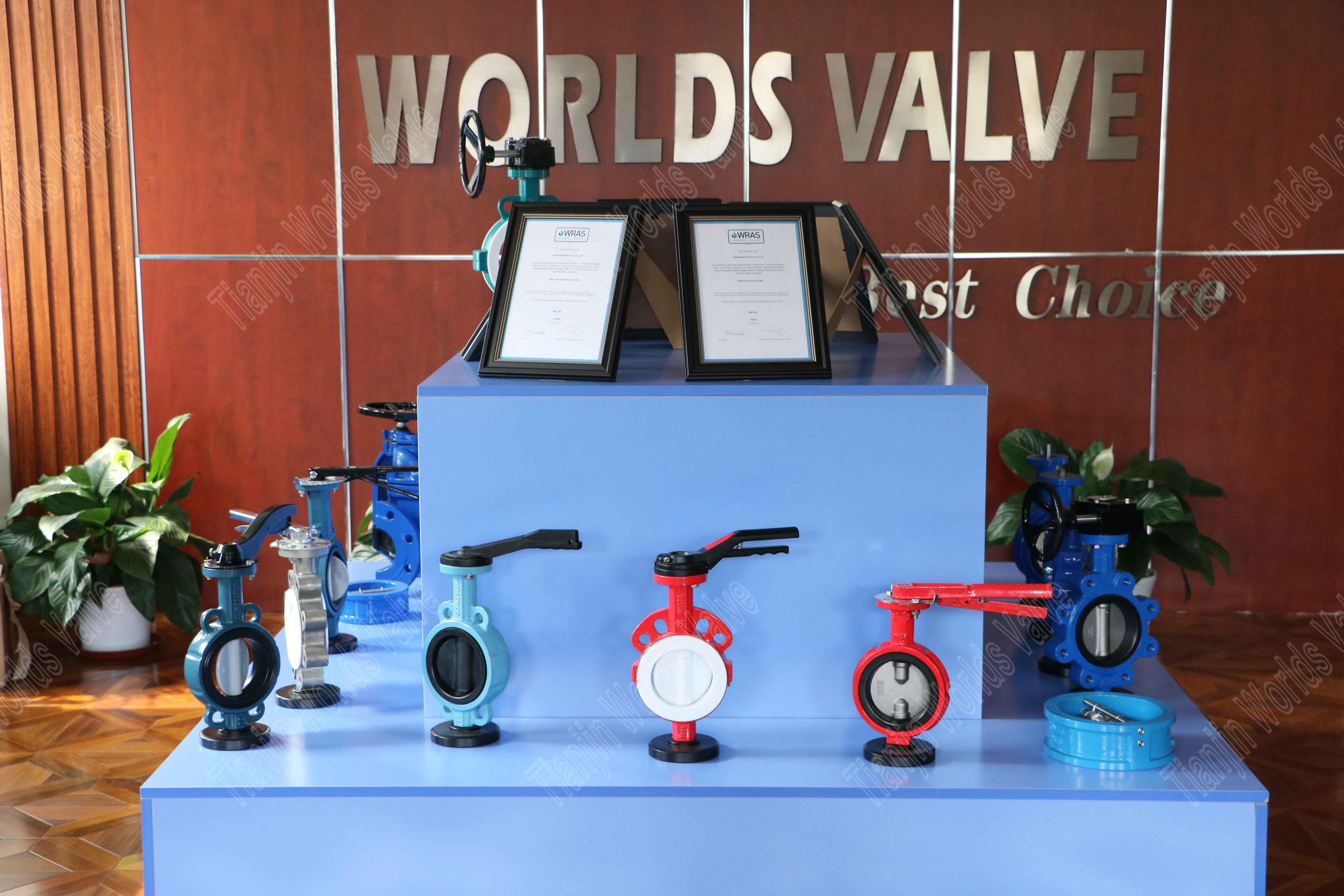 Tianjin Worlds Valve Co., Ltd. (1)