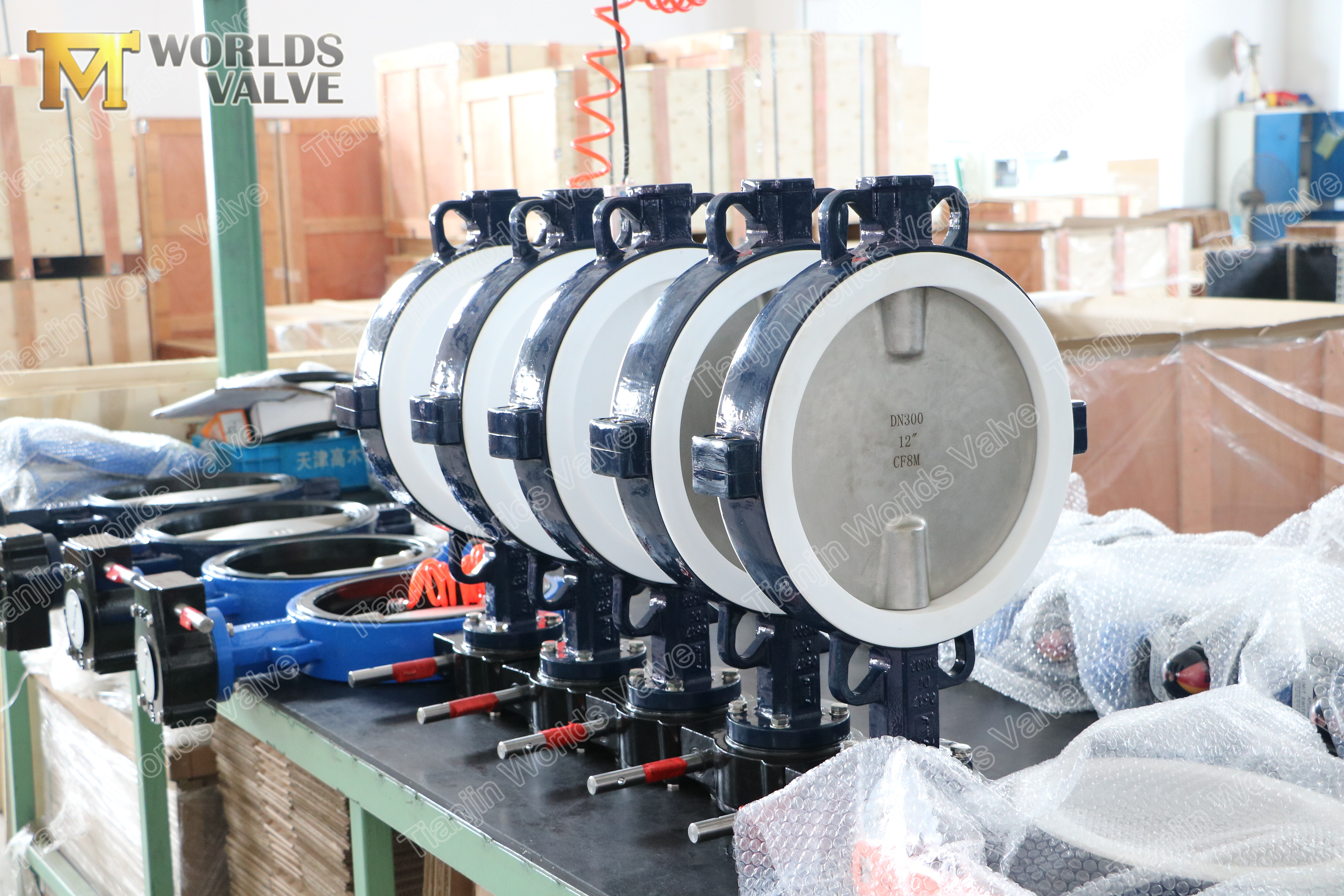 3 A536 A395 Duktiler Eisen-PTFE-Schmetterlingsventil