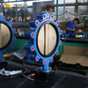 PN16 LUG Absperrklappe, Gehäuse aus duktilem Eisen und CF8M-Scheibe | China OEM-Ventillieferant