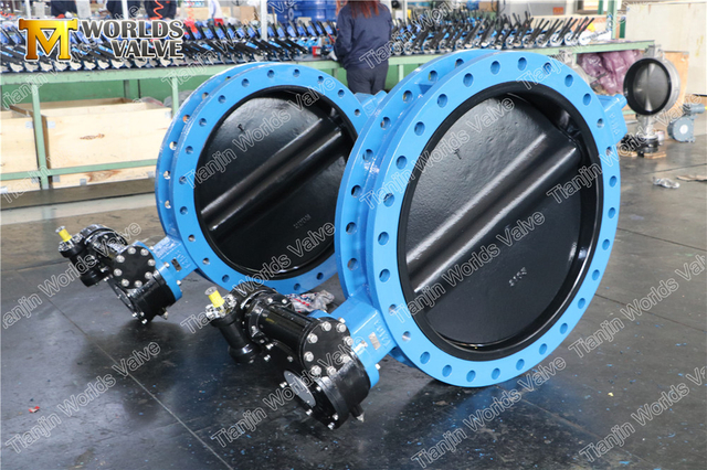 Halar Gummi-Absperrklappen mit lackierter Scheibe mit U-Profil