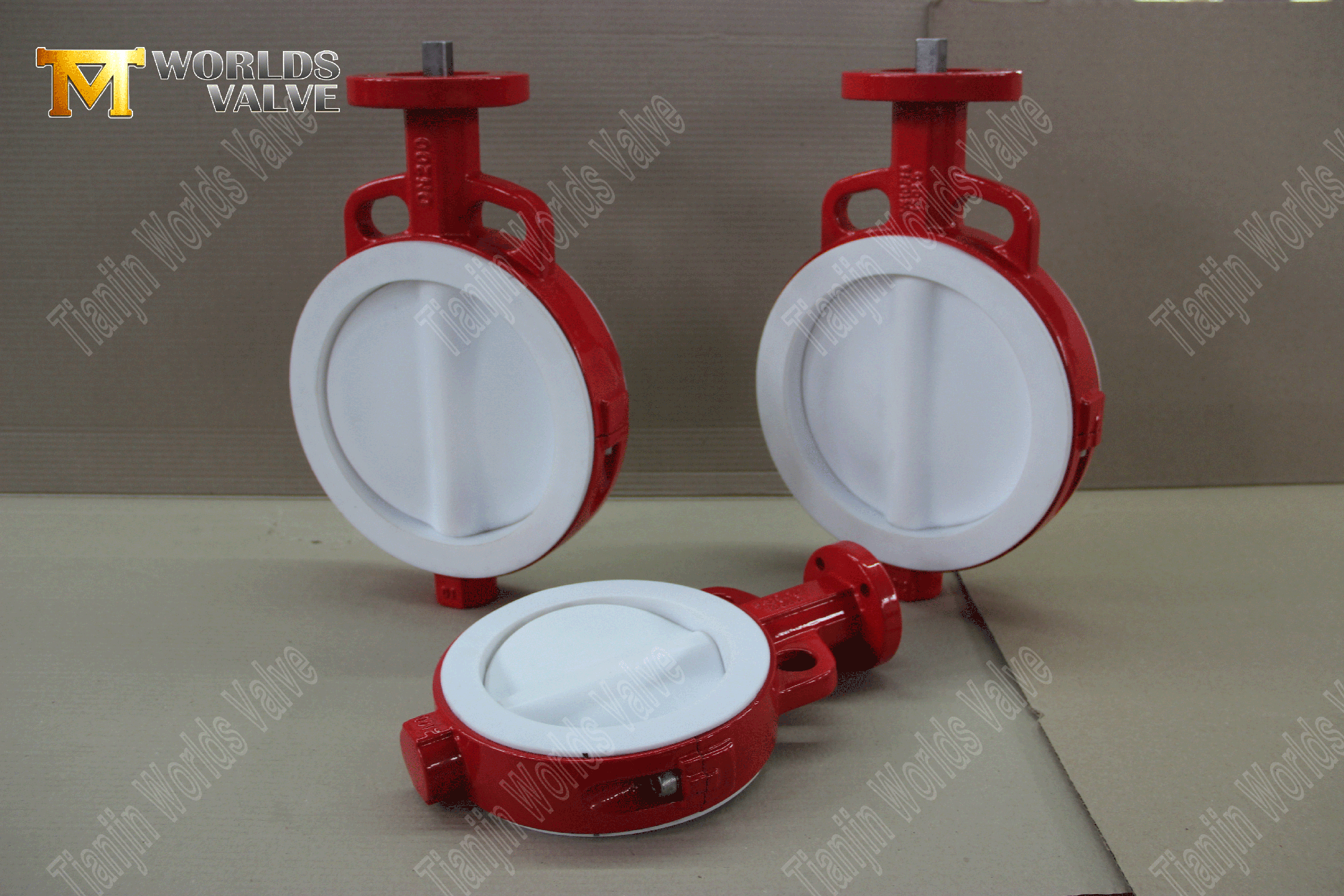 Ptfe ausgekleidete Butterfly-Vaves-Wafer-Typ-Butterfly-Valve-Factory-From-China- (1)