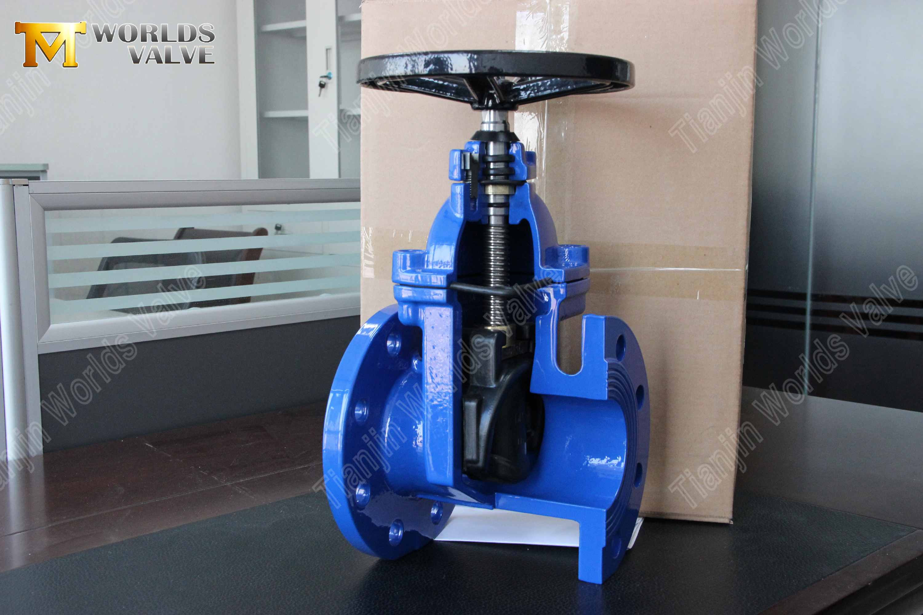 BS5163 Absperrschieber aus duktilem Gusseisen mit elastischem Sitz und nicht steigendem Schaft, zuverl&auml;ssige Wasserkontrolll&ouml;sung-1 (1)