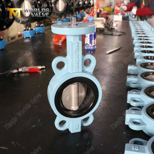 Absperrklappen aus duktilem Gusseisen | Lieferant von OEM-Absperrklappen