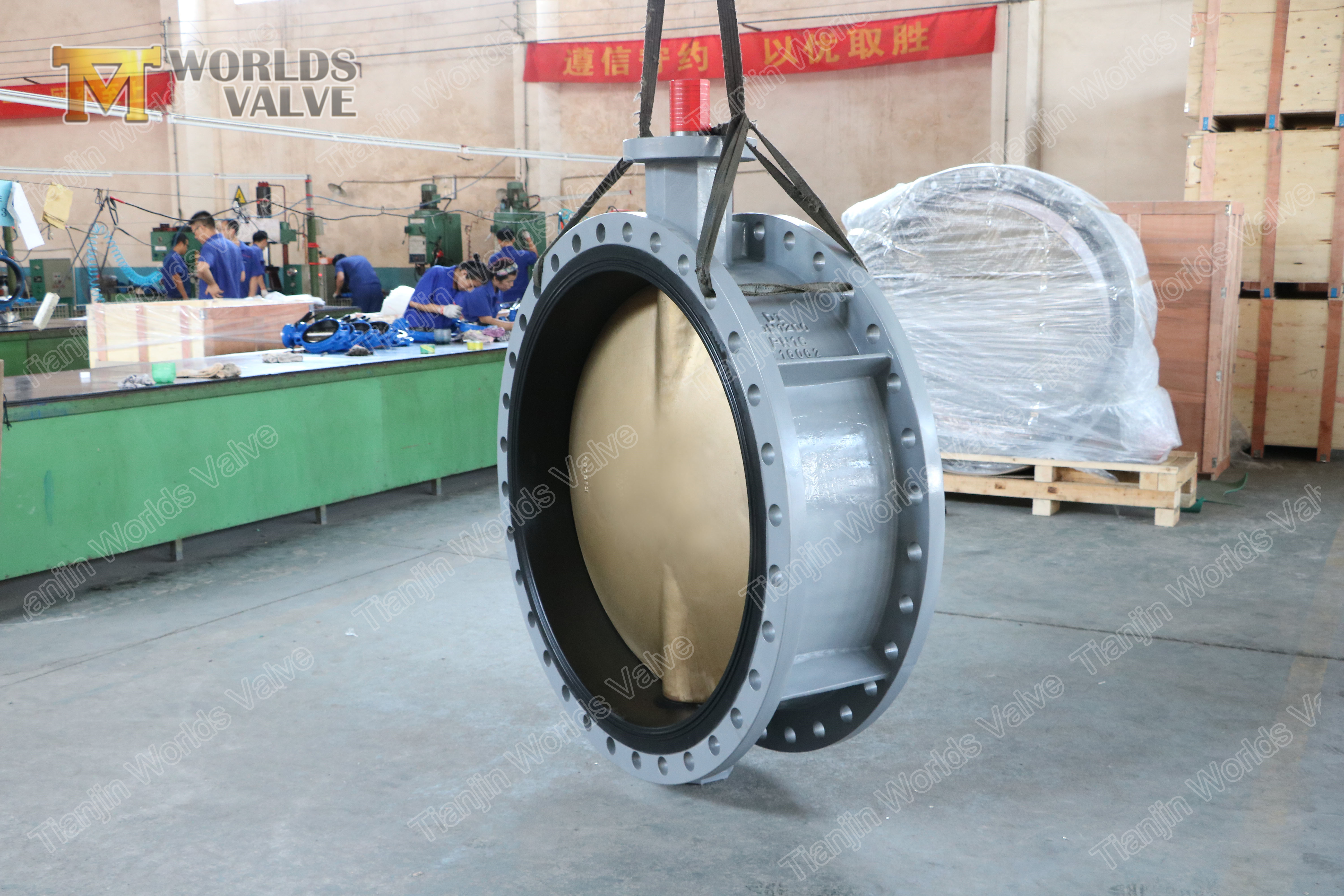 5 Doppelflansch-Schmetterlingsventil mit elektrischem Aktuator