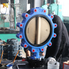 PN16 LUG Absperrklappe, Gehäuse aus duktilem Eisen und CF8M-Scheibe | China OEM-Ventillieferant