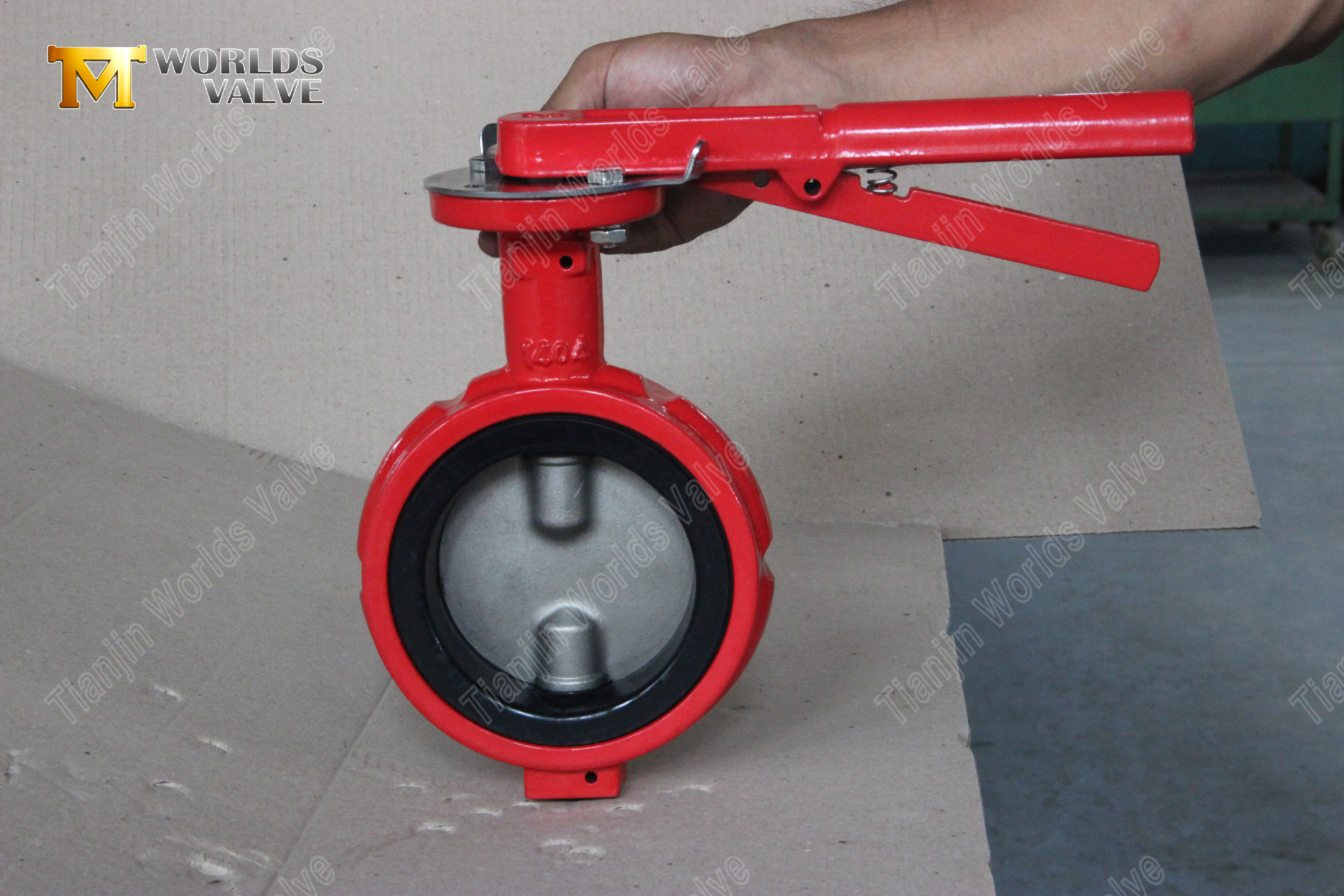 Industrielle Absperrklappen, China OEM-Ventillieferant-1 (3)