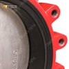 Absperrklappe mit Ansatz und austauschbarem EPDM-Sitz | DI-Körper CF8M-Scheibe | OEM-Lieferant