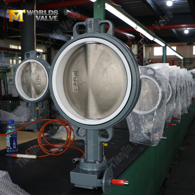 Absperrklappe aus duktilem Gusseisen mit PTFE-Sitz und CF8M-Scheibe