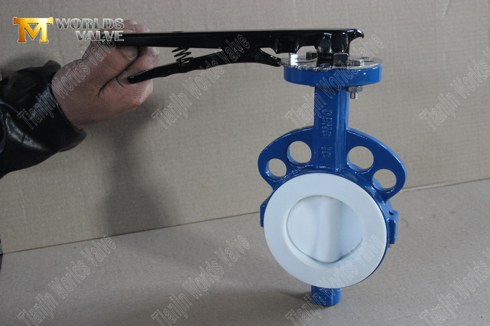 PTFE-f&auml;hige Wafer-Butterfly-Valve- (6)