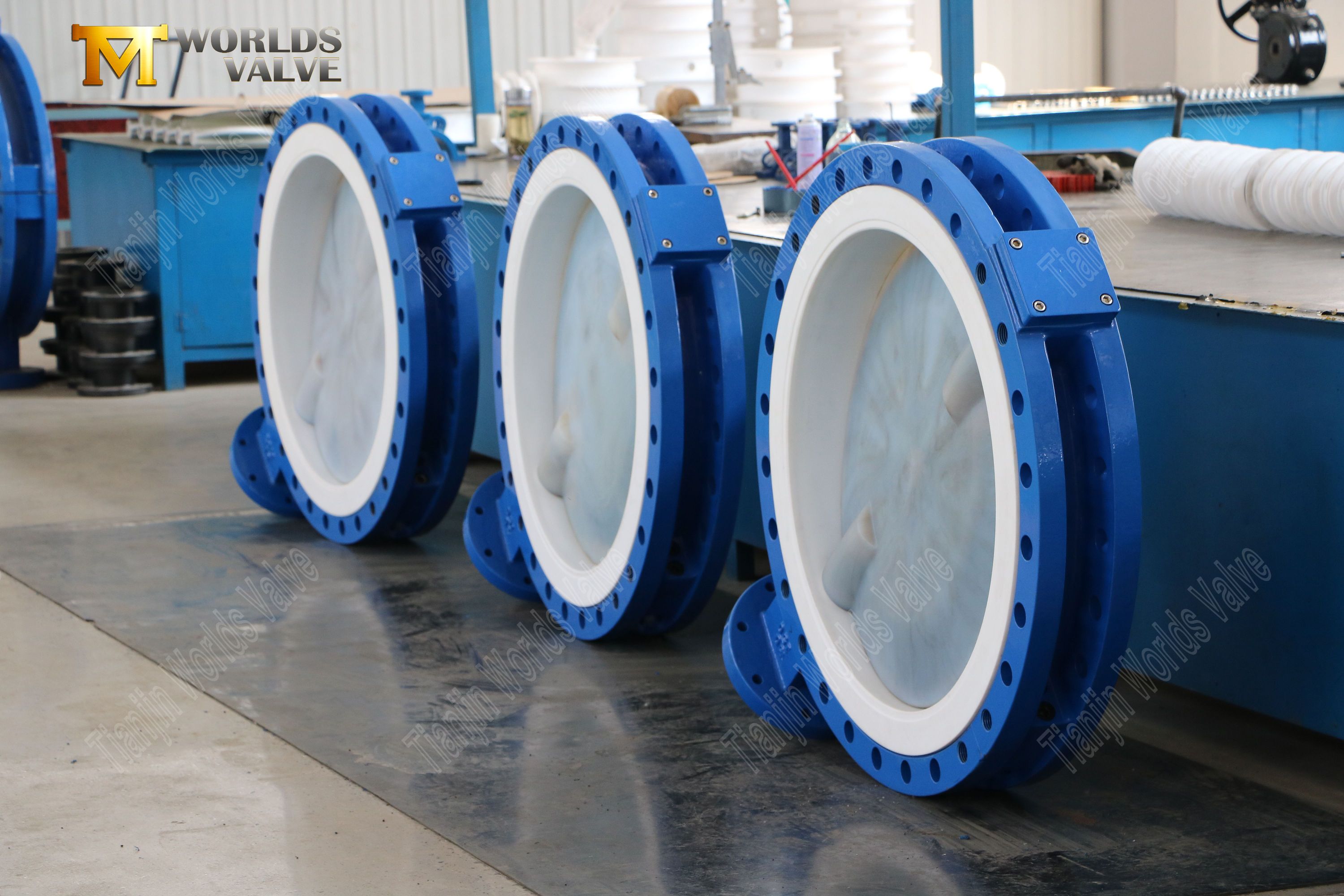 PTFE SEAT PFA Beschichtete Scheibenschmetterfly-Ventile Ultra-Pure-Korrosionsverteidigung-2 (2)