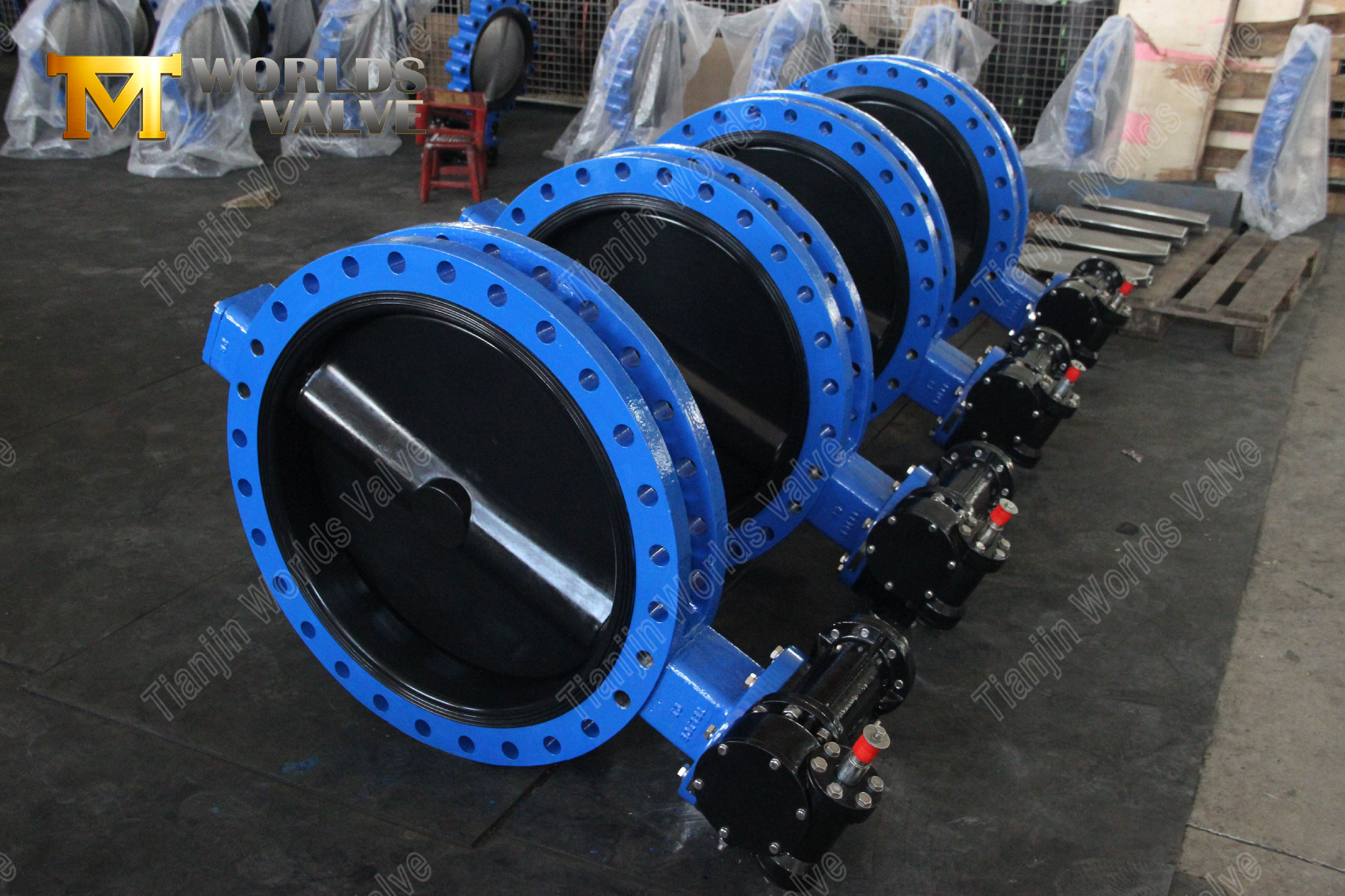 U-Typ-Butterfly-Valve-mit-Halar-Beschichtungs-Disc-Corrosion-resistentes Flow-Control-L&ouml;sung-1)