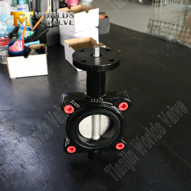 EPDM -Sitz -Schmetterlingsventil mit CF8M Disc | Lugentyp Industrial-Grade-Lösung