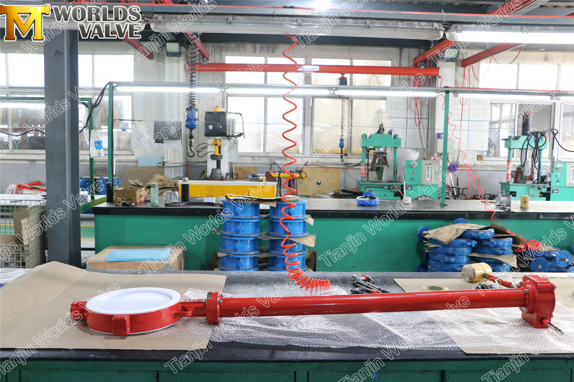 PTFE -Schmetterlingsventil mit Verl&auml;ngerungsstamm (1)