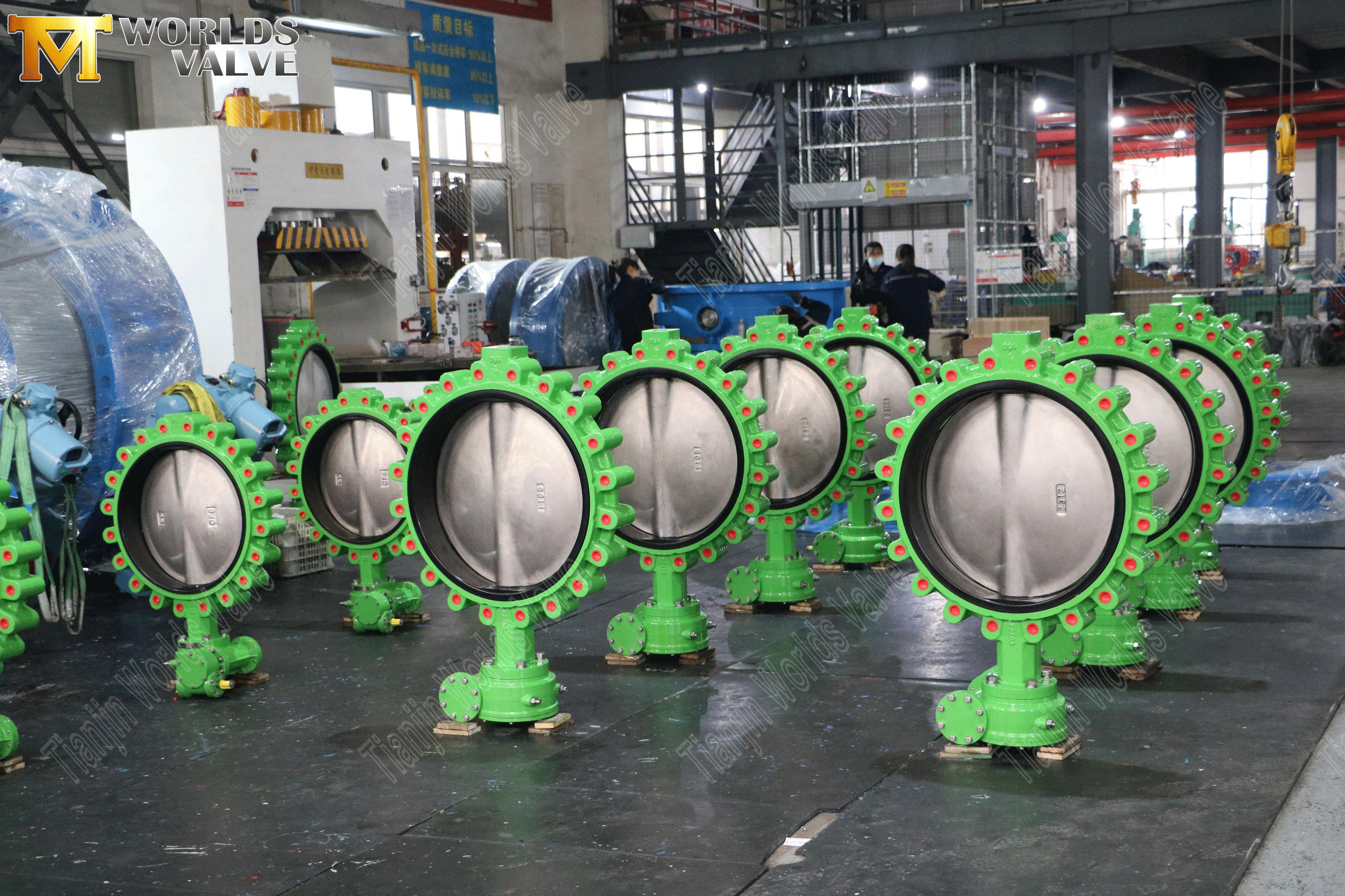 Zentrale Schmetterlingsvavles mit Wurmgetriebe (3)