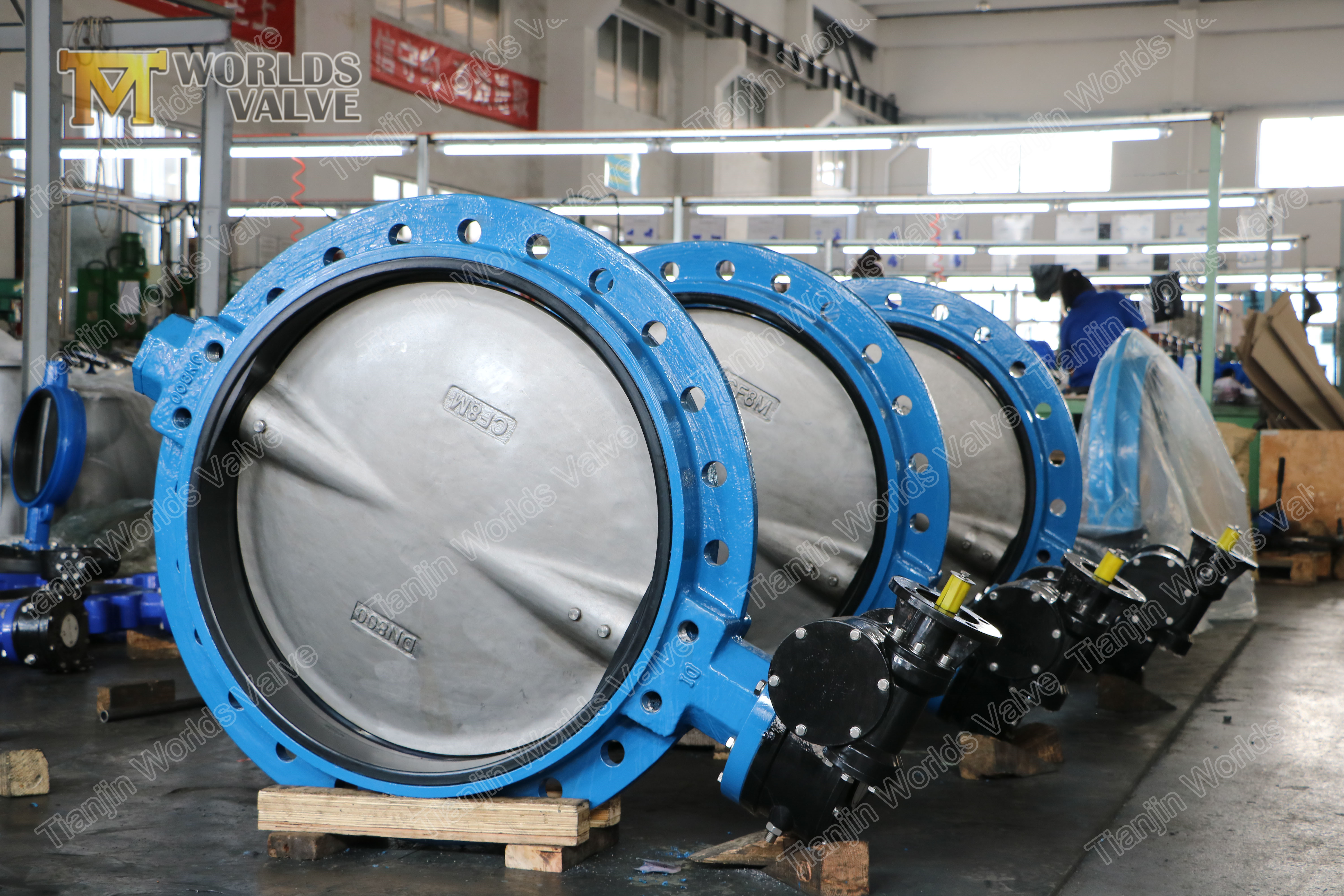 3 CF8 304 CF8M 316 Einzelflansch-Schmetterlingsventil