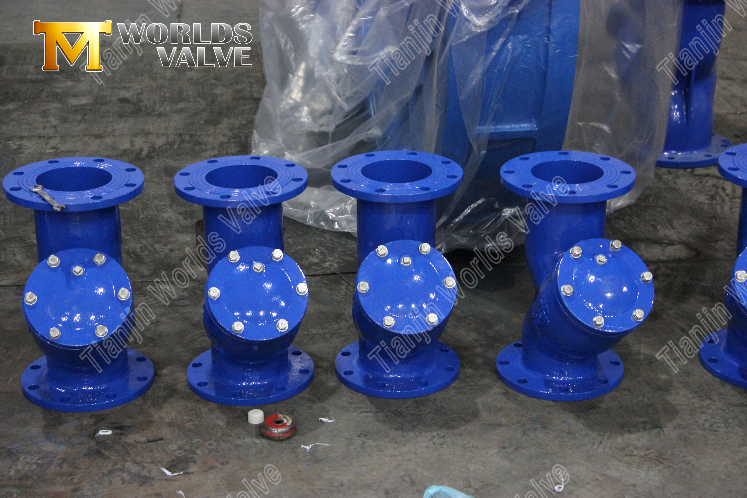 Flansch-Y-Sieb WCB-Kohlenstoffstahl-Industrierohrleitungsschutz (7)