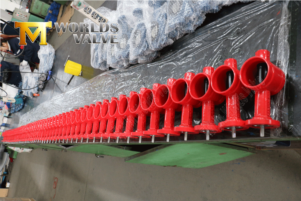 Rilled End Butterfly Ventil zum Brandschutz (2)