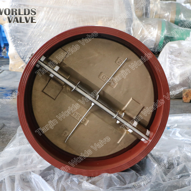 Rückschlag-Doppelplatten-Rückschlagventil PN10 PN16 CLASS150