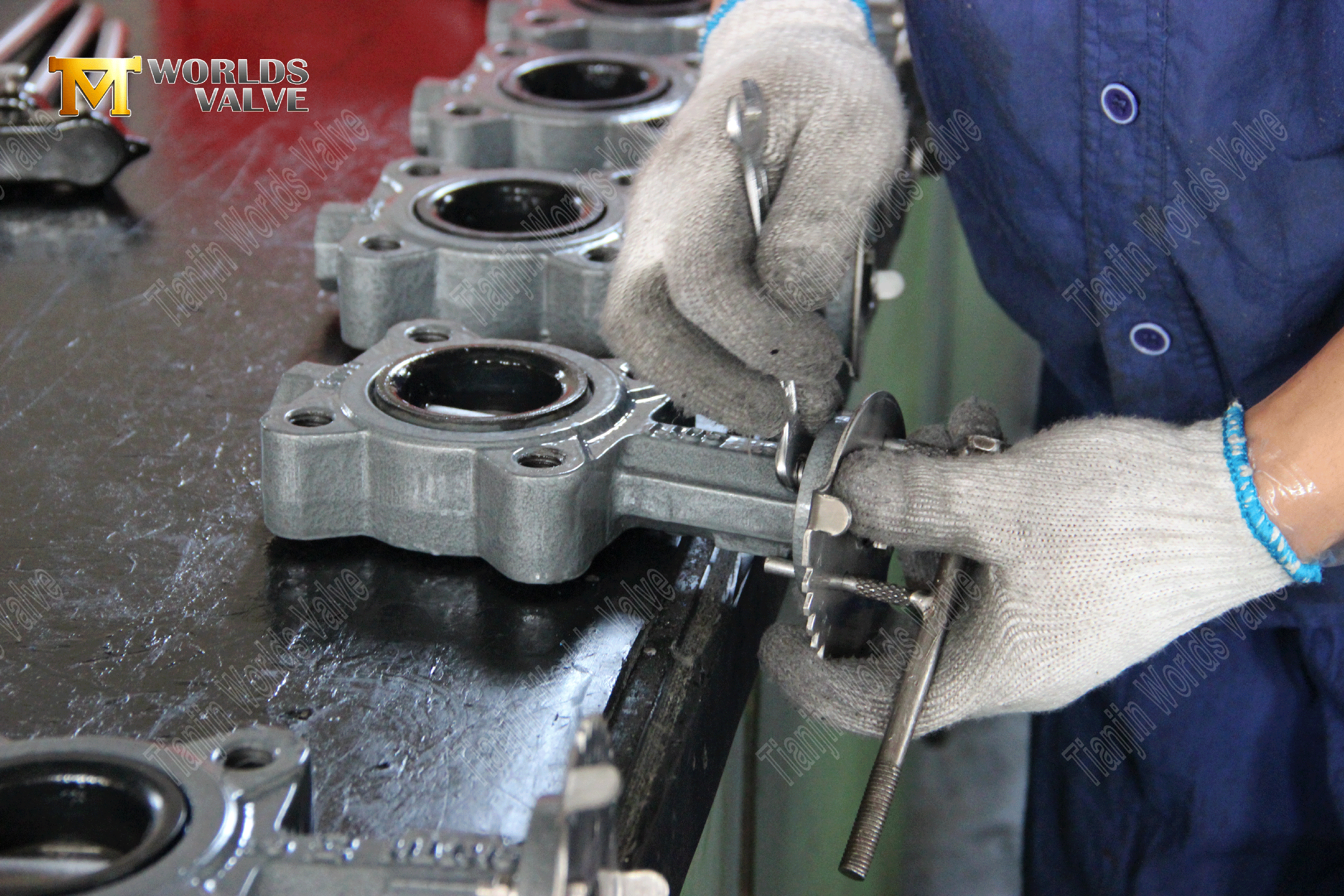 OEM ODM Ventil Hersteller-Lugstil widerstandsf&auml;higer Sitzen-Schmetterlingsventile (5)