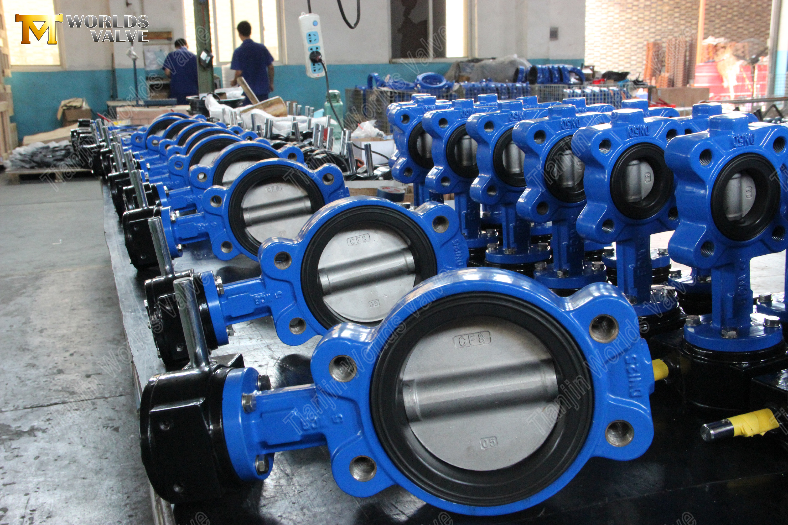 Semi-Lug-Type-Butterfly-Valve-with-Viton-seat-(8).jpg
