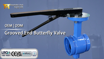 Grooved End Butterfly Valve with Hand Lever A Practical Choice for Water and HVAC Systems.jpg