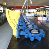 Lug-Absperrklappe | CF8M-Scheibe | PN16