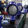 6-Zoll-Wafer-Absperrklappe – Klasse 150, CF8M-Scheibe, EPDM-Sitz