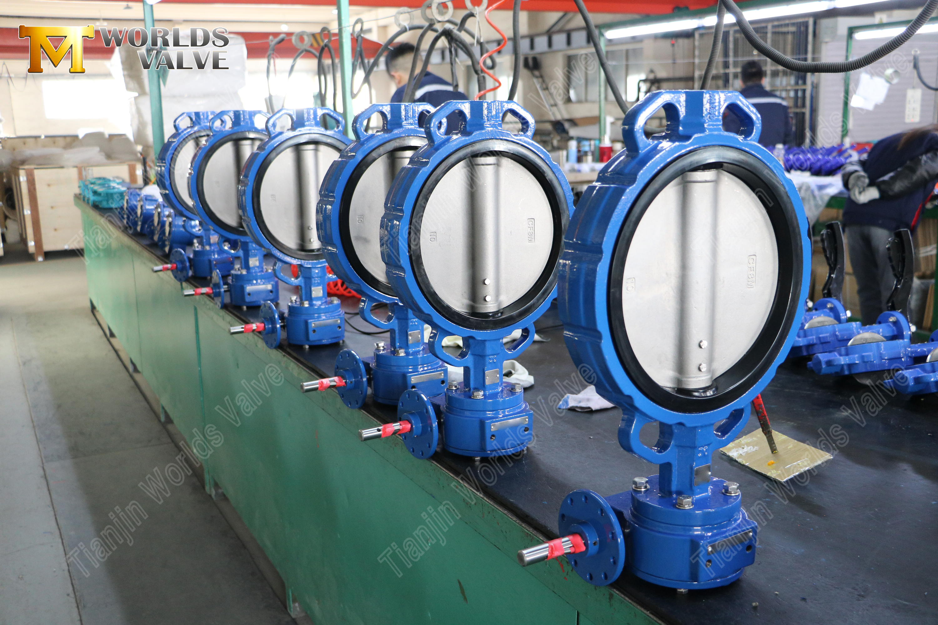 6-Zoll-Wafer-Absperrklappe – Klasse 150, CF8M-Scheibe, EPDM-Sitz (7).jpg