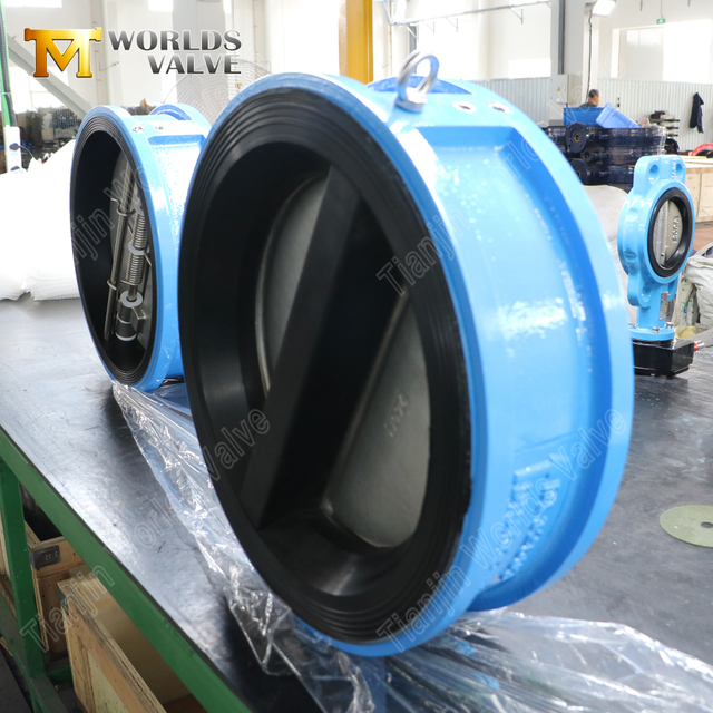 Doppelplatten-Rückschlagventil – Gehäuse mit EPDM-Auskleidung, CF8M-Scheibe, PN10, OEM-Hersteller