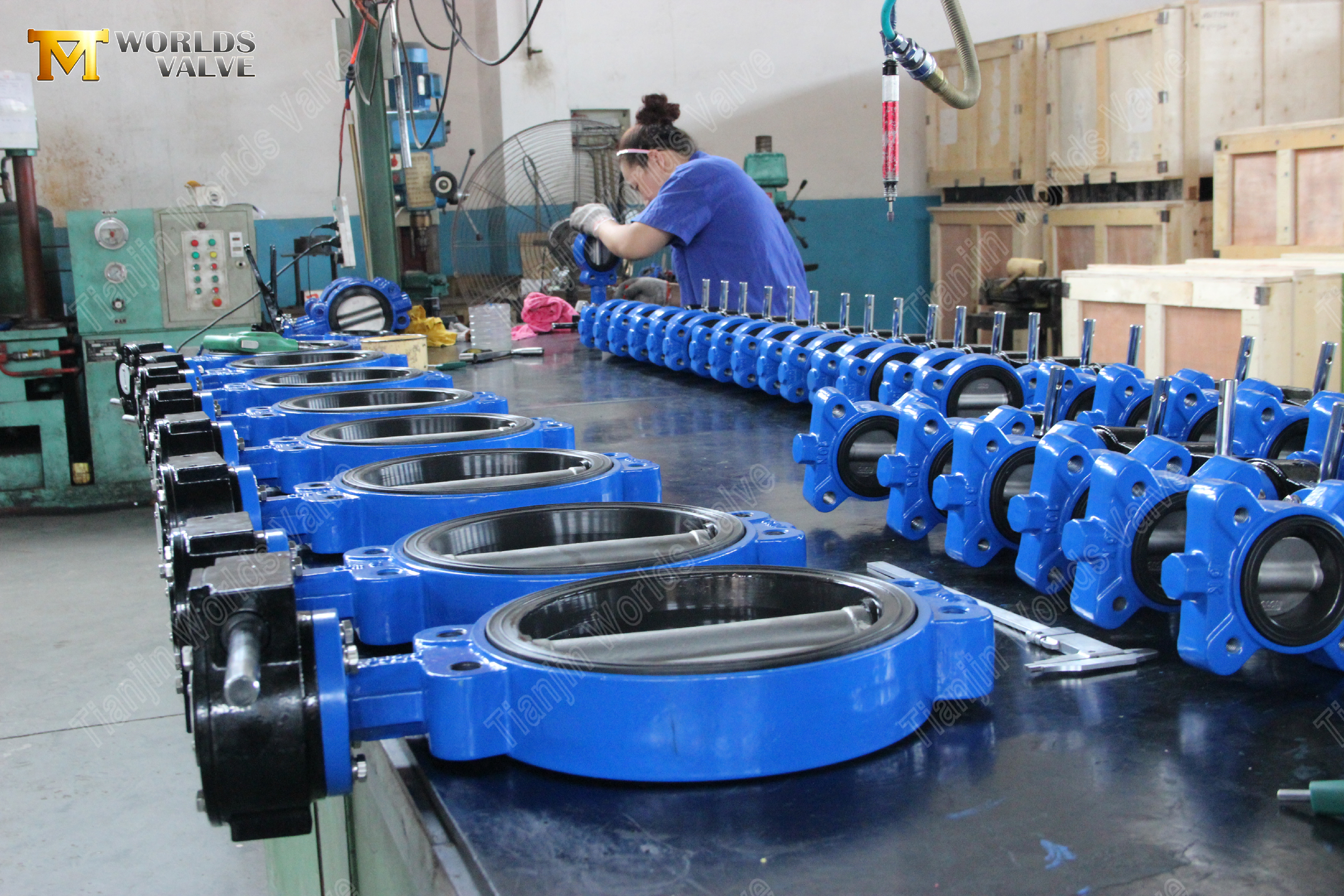 Semi-Lug-Type-Butterfly-Valve-with-Viton-seat-(9).jpg