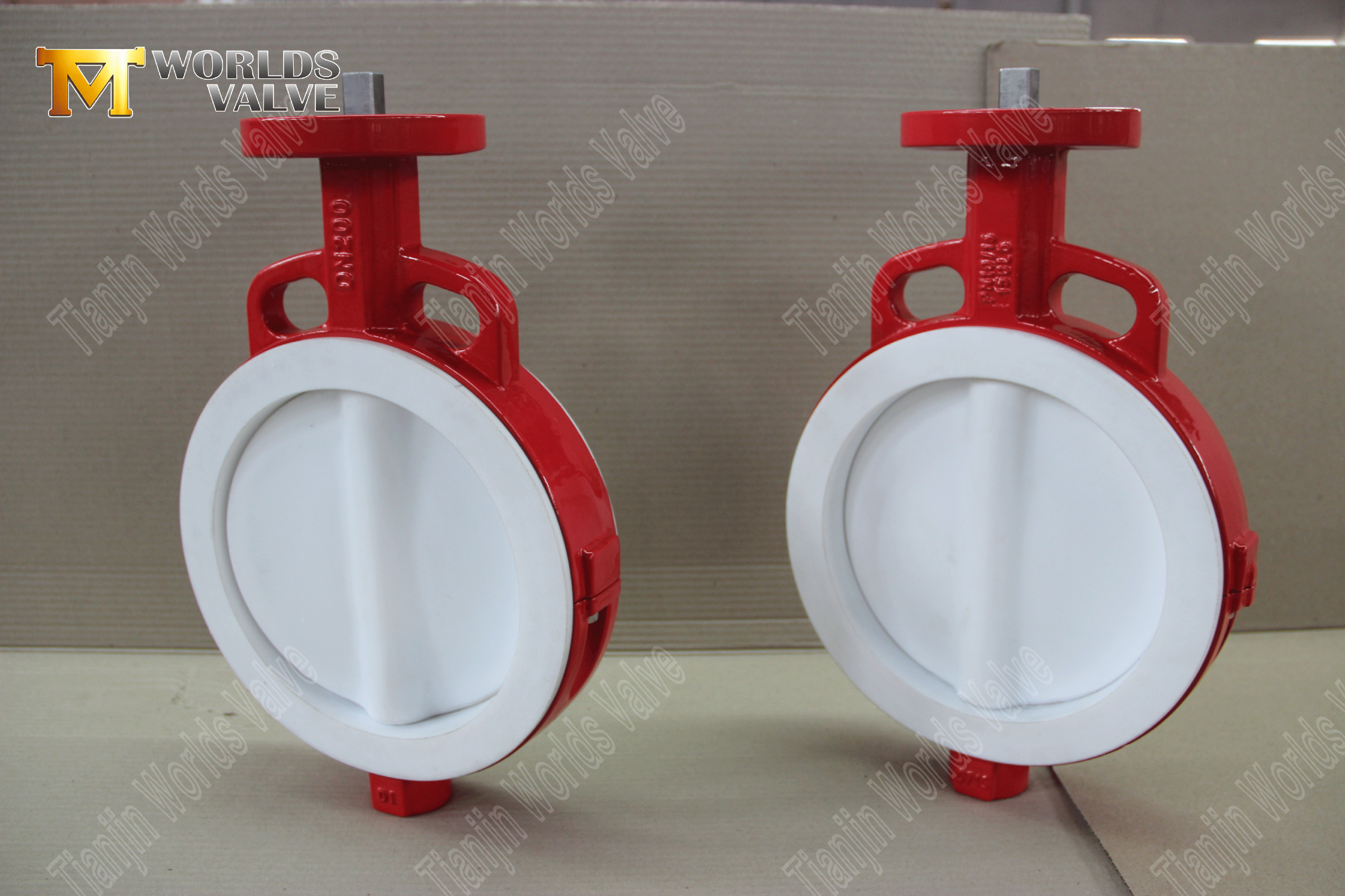 PTFE-Wafer-Absperrklappe – PTFE-gekapselte Scheibe, Klasse 150, OEM-Hersteller (2).png