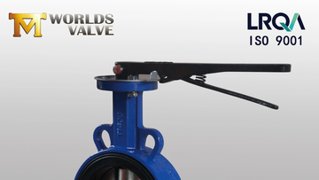 worldsvalve1920x1080_v2.png