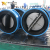 Doppelplatten-Rückschlagventil – Gehäuse mit EPDM-Auskleidung, CF8M-Scheibe, PN10, OEM-Hersteller