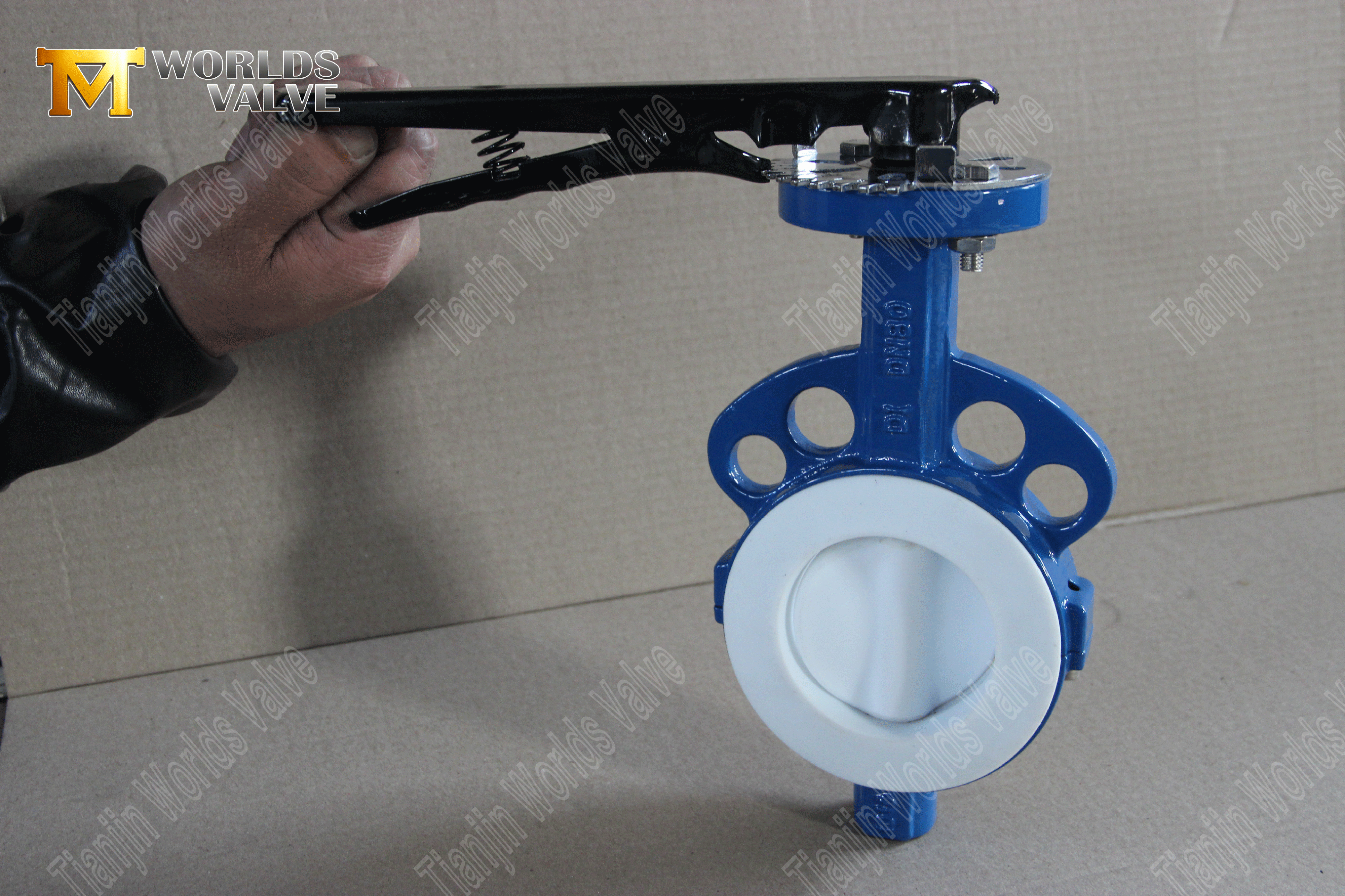 PTFE-Wafer-Absperrklappe – PTFE-gekapselte Scheibe, Klasse 150, OEM-Hersteller (3).png