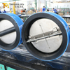 Doppelplatten-Rückschlagventil – Gehäuse mit EPDM-Auskleidung, CF8M-Scheibe, PN10, OEM-Hersteller