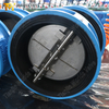 Doppelplatten-Rückschlagventil – Gehäuse mit EPDM-Auskleidung, CF8M-Scheibe, PN10, OEM-Hersteller