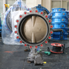 Lug-Absperrklappe – NBR-Sitz, CF8M-Scheibe, OEM-Hersteller